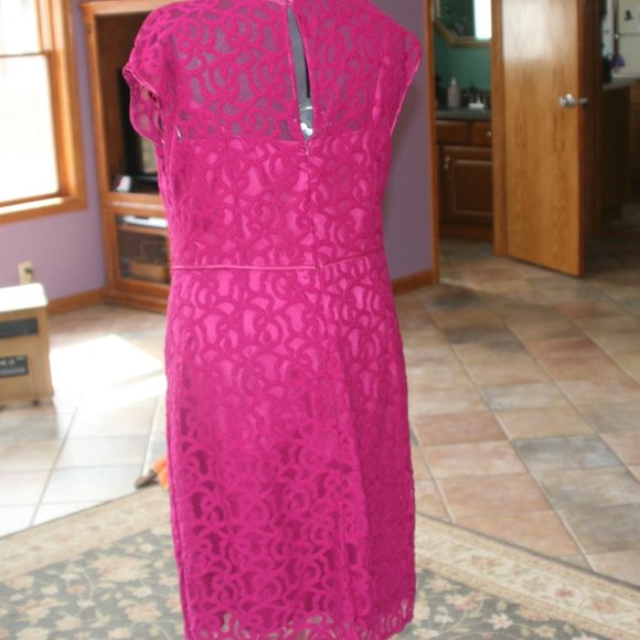Lovely Lace Overlay Dress - Picture 5 of 6